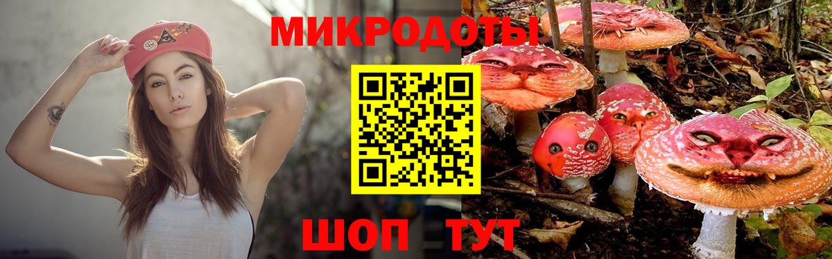 Братск  Псилоцибиновые грибы GOLDEN TEACHER  Вход с VPN 